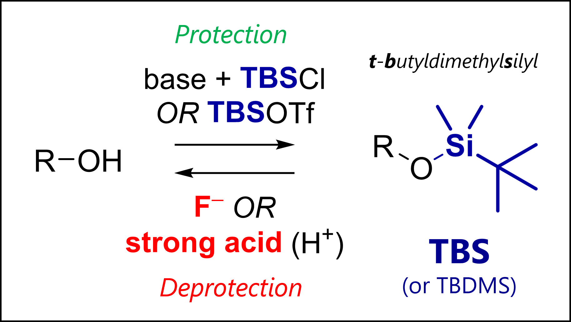 Conditions for protection and deprotection of the TBS protecting group (TBSOTf or TBSCl)