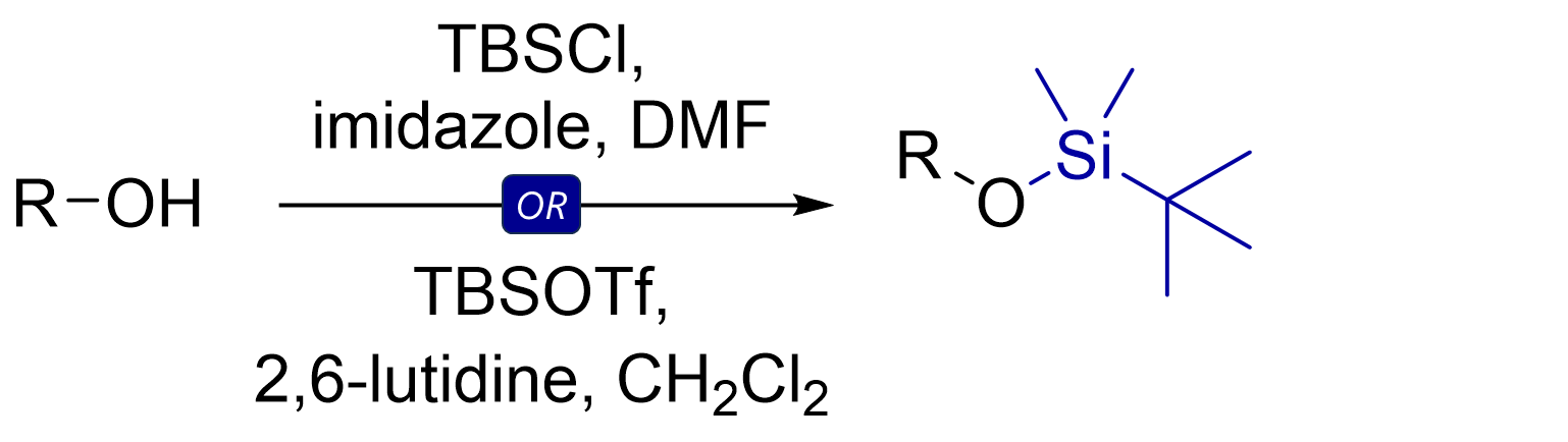 TBS protection conditions (TBSCl, imidazole or TBSOTf, lutidine)