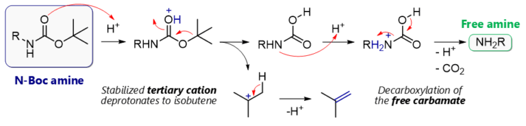 Boc Protecting Group: N-Boc Protection & Deprotection Mechanism