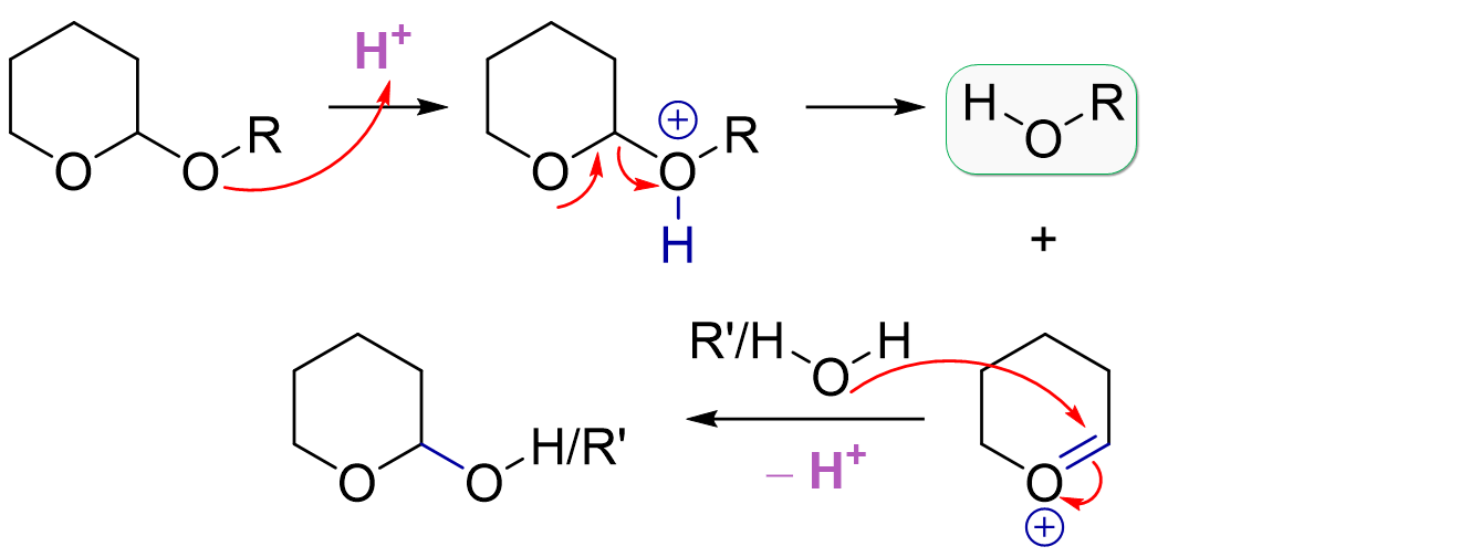Deprotection mechanism of a THP protecting group