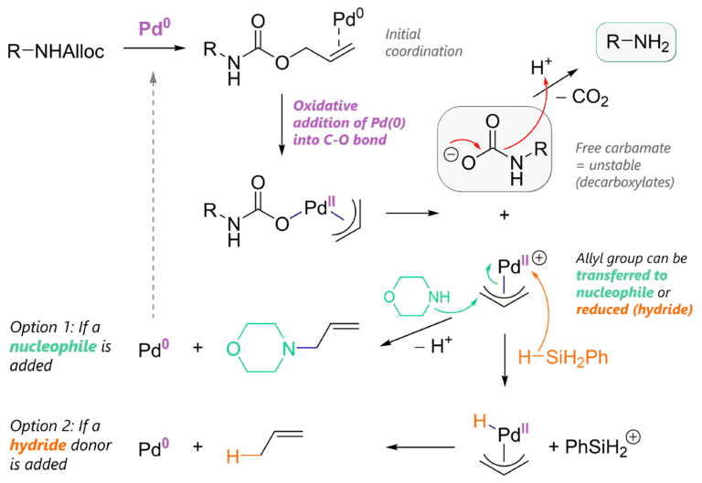 Alloc Protecting Group: Alloc Protection & Deprotection Mechanism