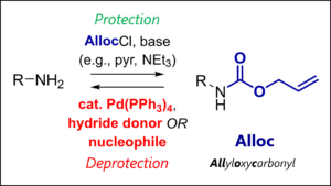Conditions for protection and deprotection of the Alloc protecting group (allyloxycarbonyl)