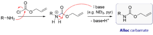 Alloc Protecting Group: Alloc Protection & Deprotection Mechanism