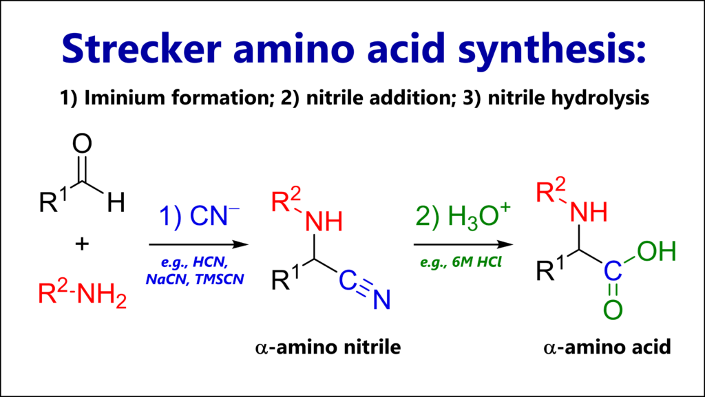 Strecker synthesis to make amino acids from aldehydes and amines