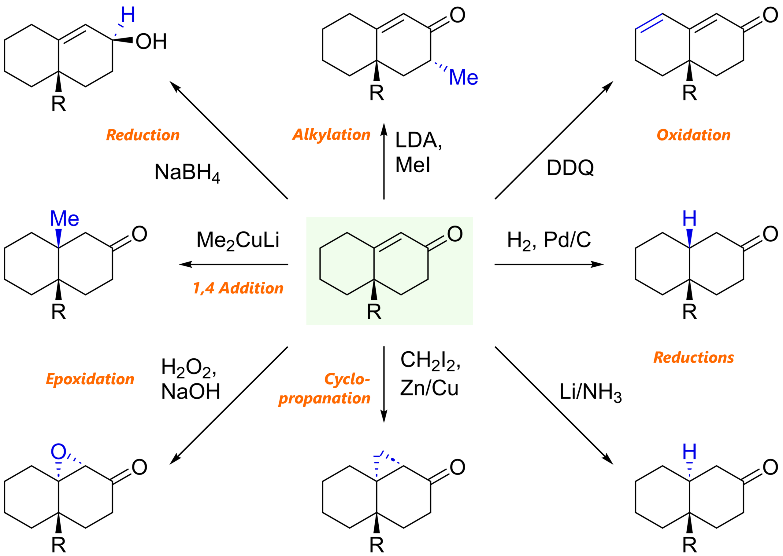 Robinson annulation product as synthetic entry to functionalized bicyclic compounds