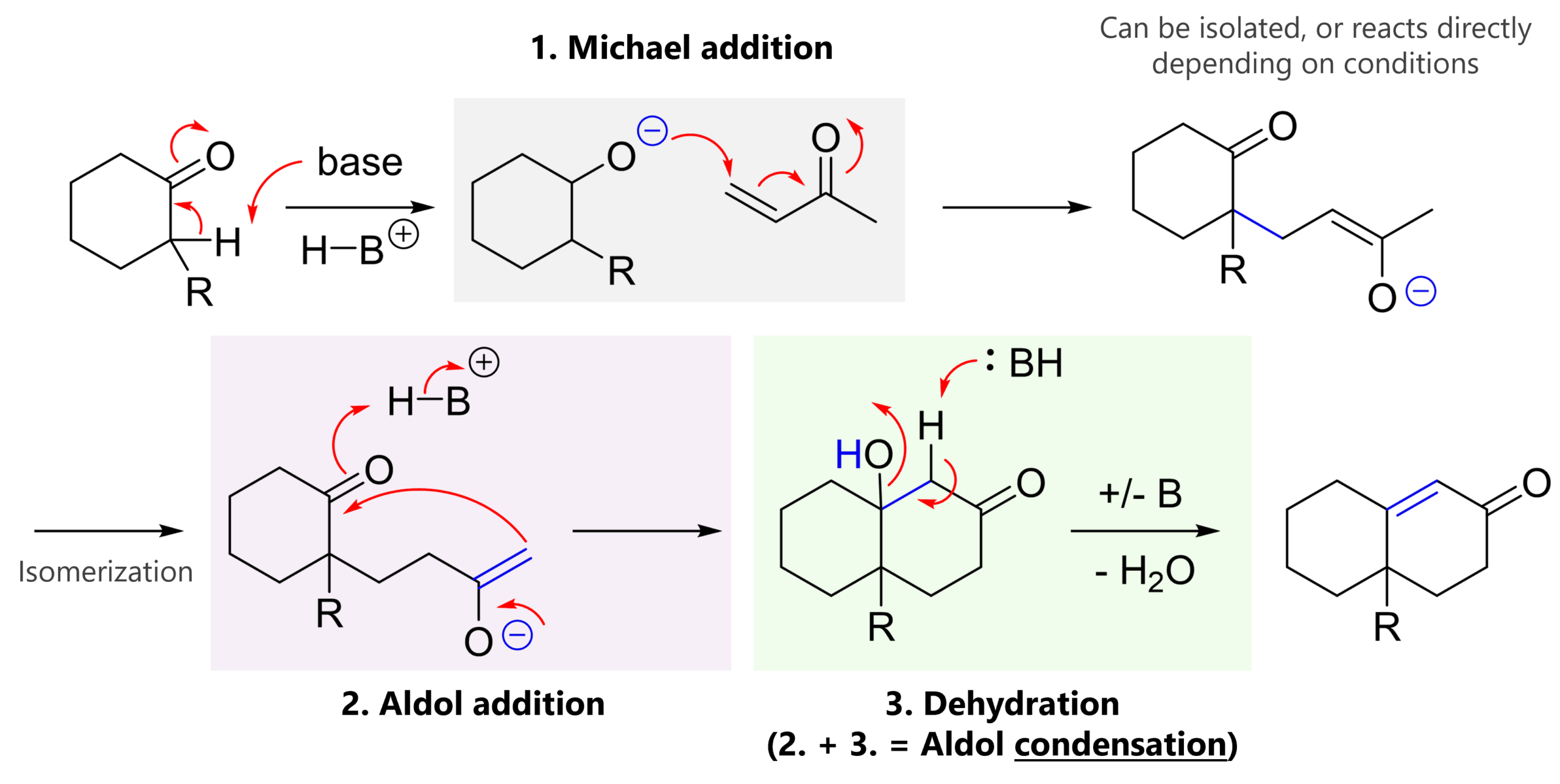 Reaction mechanism for the Robinson annulation reaction